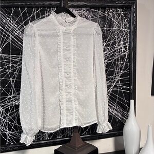 Elegant White Sheer Blouse